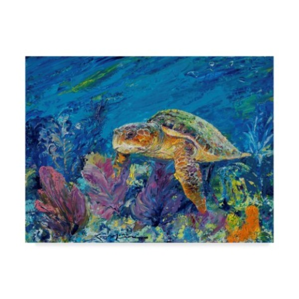Trademark Fine Art Lucy P. Mctier 'Loggerhead Turtle' Canvas Art, 35x47 ALI42764-C3547GG